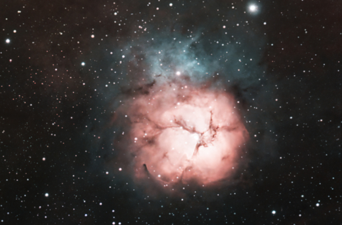 Trifid-köd